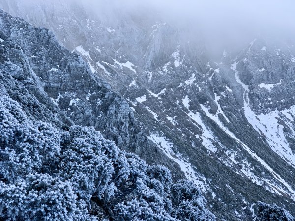 糖霜玉山主峰1556757