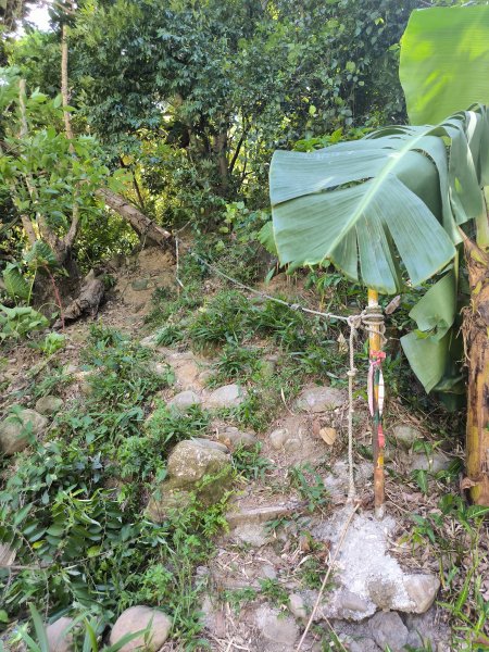 20250906泰山辭修公園、尖棟山、69步道、瓊仔胡2879491