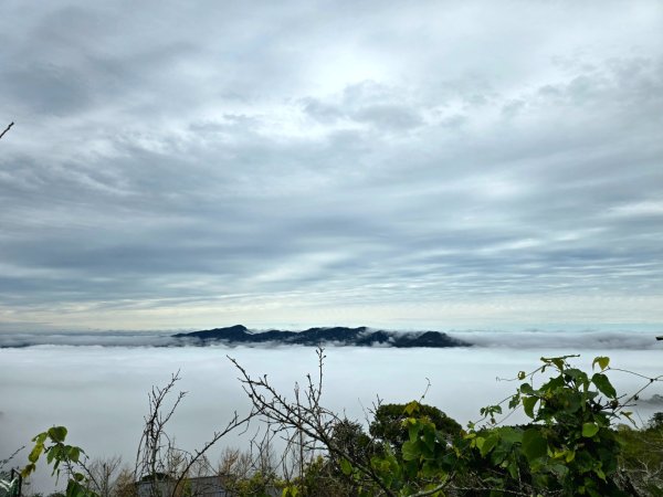 馬那邦山之雲海／雲瀑／楓紅／太陽琉璃光2676342