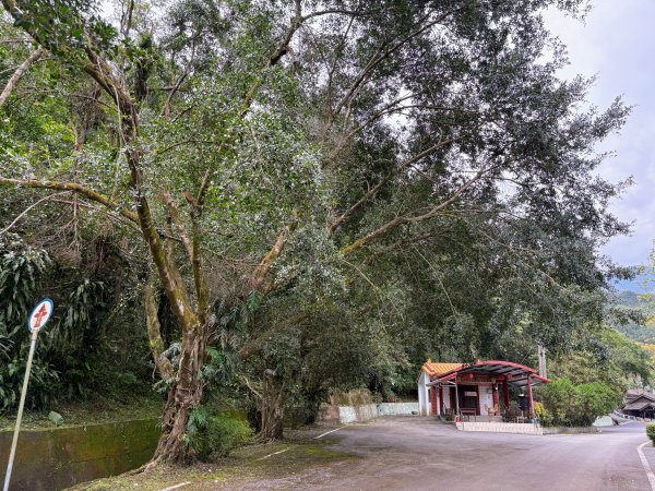 林田山林業文化園區2728237