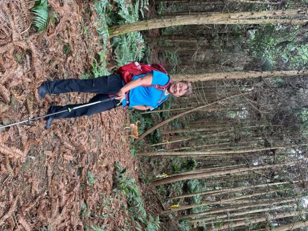 鵝公髻山（小百岳）鵝公髻山東北峰2449819