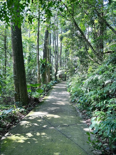 半天岩祈福步道連走修慧步道2622660