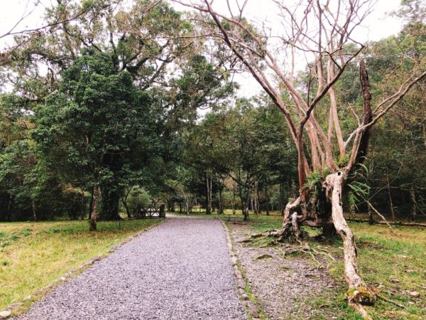 福山植物園511020