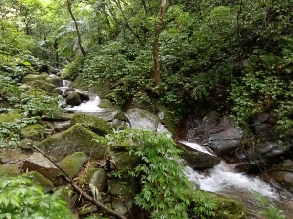 雙溪區中坑橋+中坑西山尾稜+中坑西山+內盤山坑古道+中坑橋O型2929509