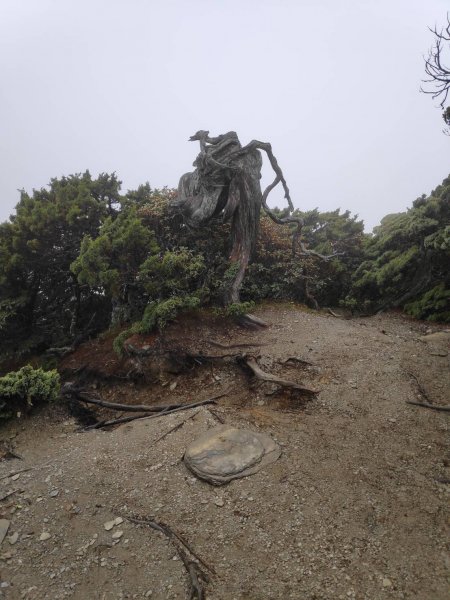 風雨中未盡之南湖之行1497312