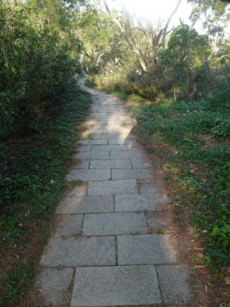 台灣小百岳新竹芎林飛鳳山和峨眉獅頭山88455