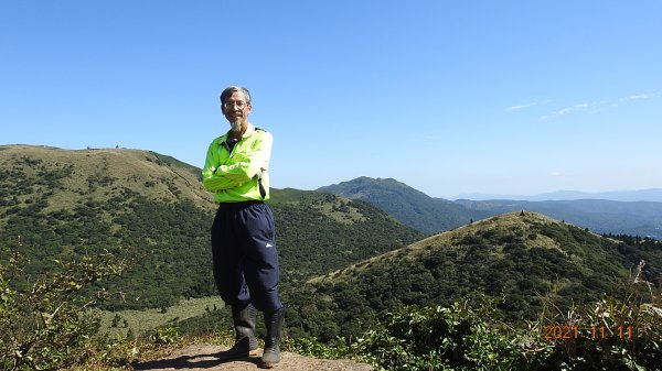 秋高氣爽芒花季再度陽明山天際線-七星山主東峰+大屯山主南西峰向天面天山O型+小觀音山主西南峰共10峰1511162