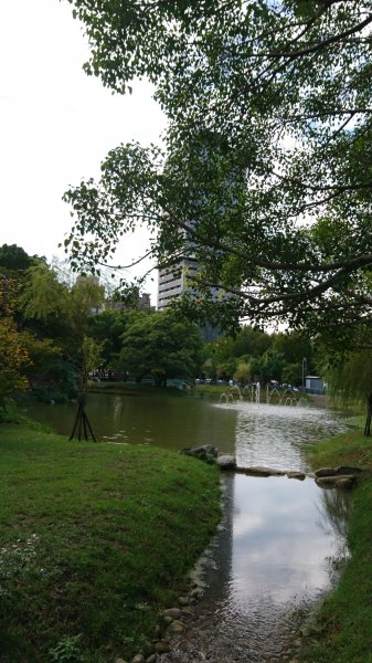 新竹麗池公園430306