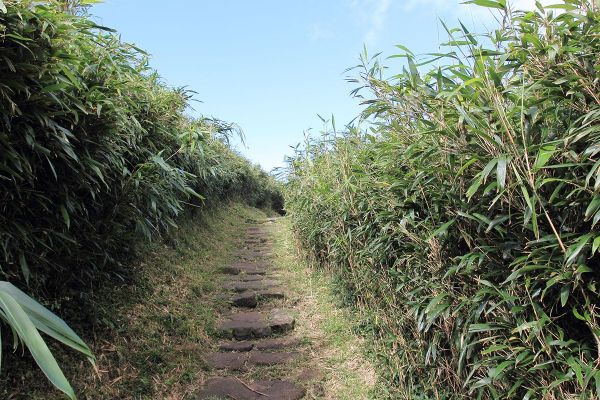 七星山主峰、東峰步道266346