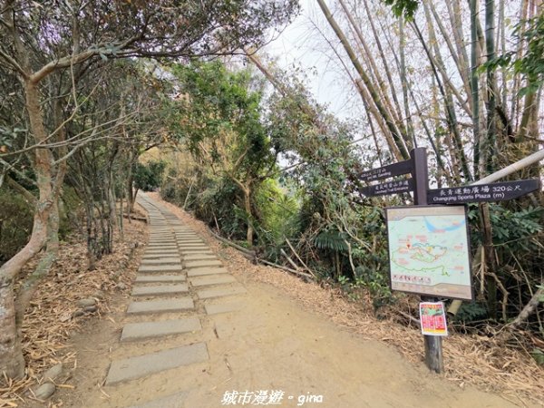 【台中太平】小百岳三汀山3027106