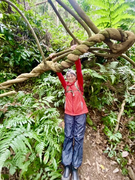 坐公車接駁的神仙縱走2707460