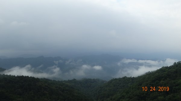 朝陽步道&粉鳥林&石碇雲海712089