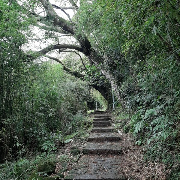 雲霧飄渺群山間。走進宮崎駿動畫世界981980