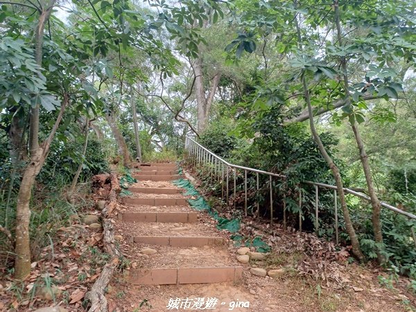 【彰化田中】蓊鬱森林有點陡。 田中森林登山步道1925572