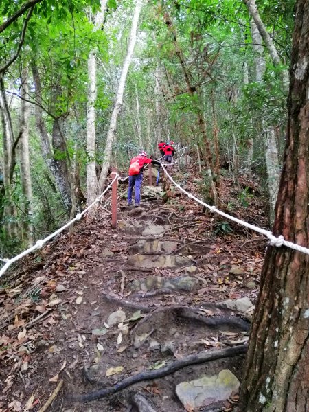 【台中。和平】谷關七雄入門款。 唐麻丹山874524