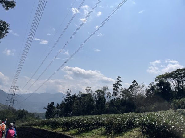 小格頭越嶺坪林2738372