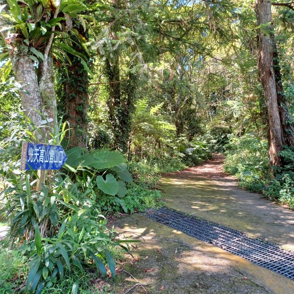 【苗栗南庄】向天湖山光天高山小O繞2933144