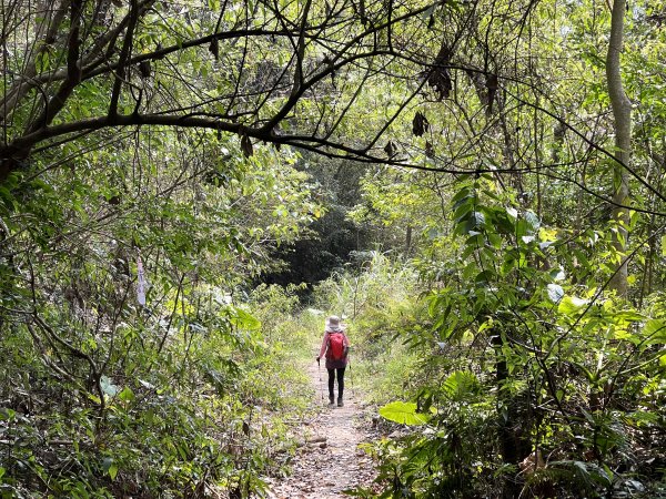 暗影山 西北稜上 南稜下 接仙女瀑布1317880