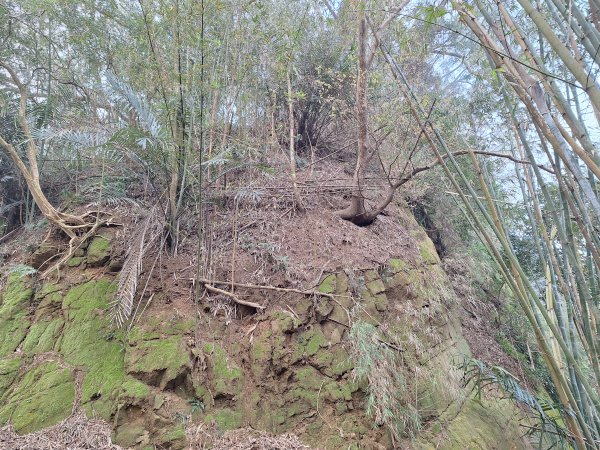 劍潭古道202503122734304