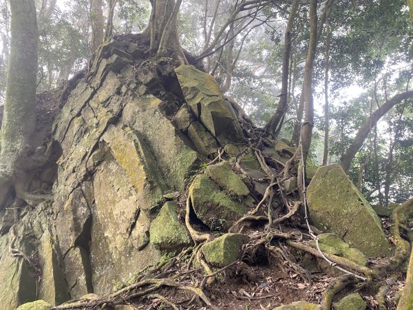 坐公車接駁的神仙縱走2707392