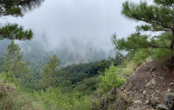 百川山沿稜探勘過210林道至海拔2025公尺處111.9.241912618