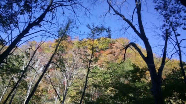 奧入瀨溪健行444352