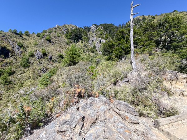 玉山前峰登山山徑2359517