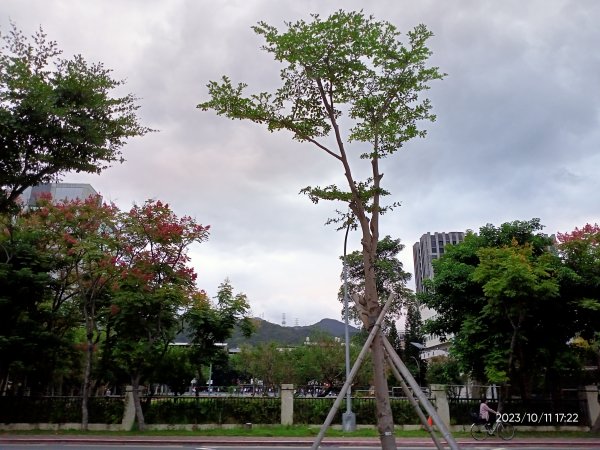 內湖大港墘公園、宏匯瑞光廣場、內湖運動中心【走路趣尋寶、健康大穀東】2310193