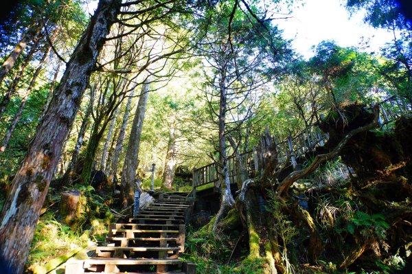 宜蘭 大同 多門山3127617