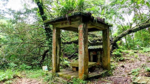 蛇子形古道。美廠產能完售2784739