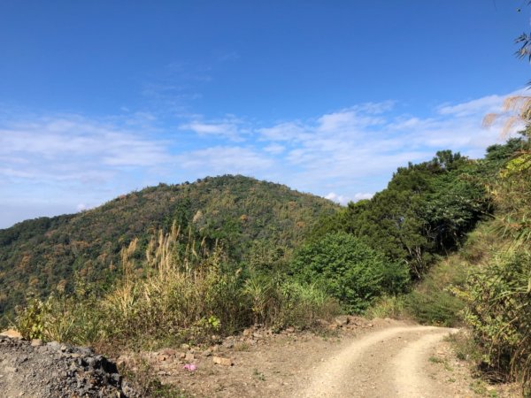 高雄市甲仙區小百岳69號白雲山（廓亭山）一等三角點及一等衛星控制點1984407