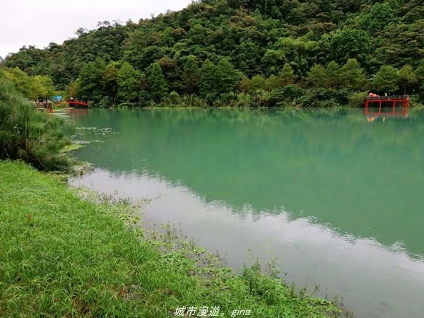 【宜蘭。 員山】恬靜悠適。 望龍埤環湖步道1511869