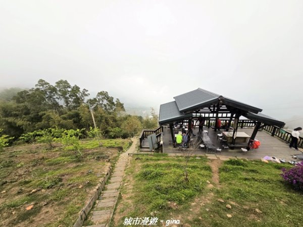 【嘉義梅山】雲嘉五連峰縱走3022302