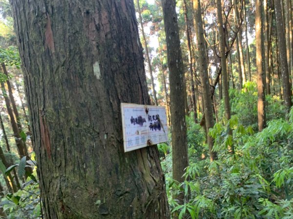 三角湖山-向天湖山-光天高山，o型。（小百岳）930075