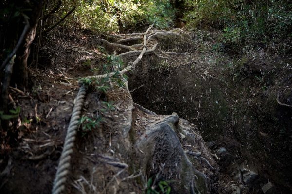 志佳陽大山2906139