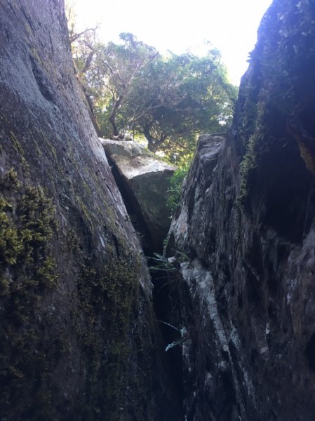 加里山前山、鐵道遺跡、索道、香菇寮2052745