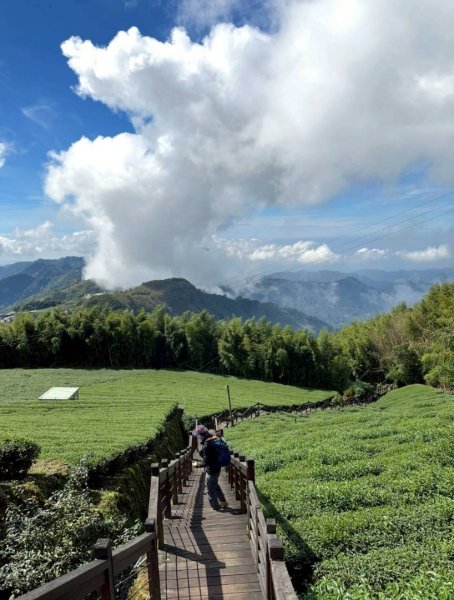 20251029石棹茶、霧、雲、霞、櫻、愛之道 樂野山 霹靂山2926608
