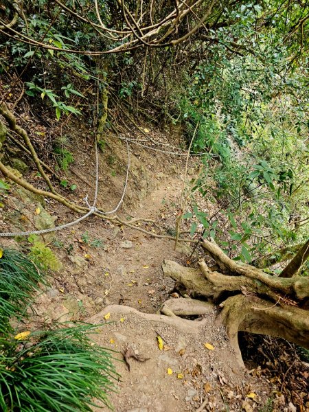 女仍山-小百岳#79-屏東縣獅子鄉2732096