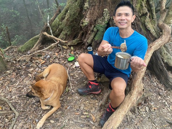 阿冷山【好酒沉甕底的隱藏版魔王】2649277