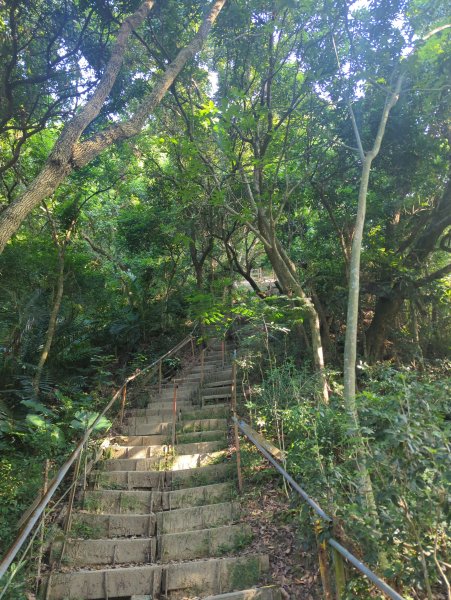 2025.10.05－南觀音山步道2908104