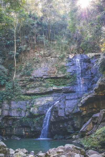 20220103-[南投魚池] 澀水森林步道1581254