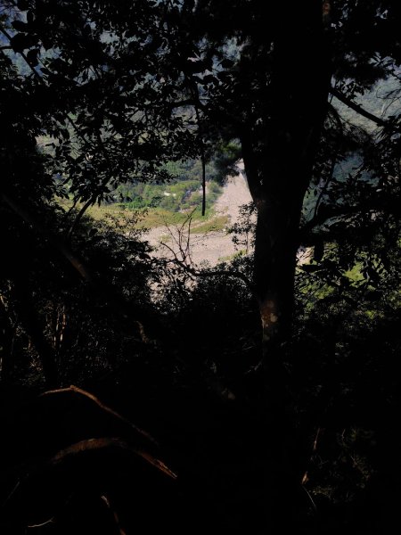 唐麻丹山 蝴蝶谷2918997