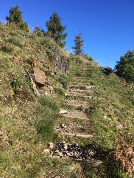 20181021-麟趾山&鹿林山444980