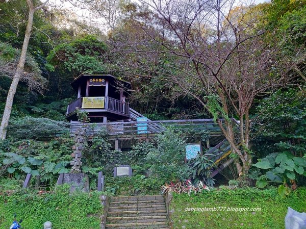 【新北】天上山步道~ 小百岳看盡大台北1604523