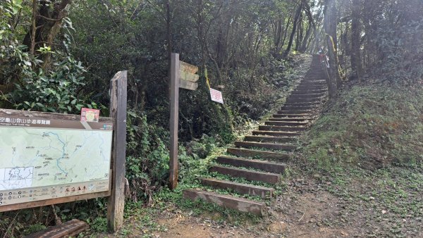 20240308汐止大尖山步道-四分尾山-耳空龜山2448666