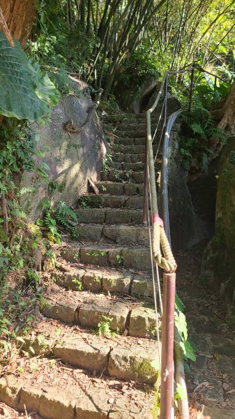 2025-0130溪和宮-大崎頭步道-鵝尾山-平溪步道-鵝尾山水田-42巷-溪山百年古圳-平菁步道2701969