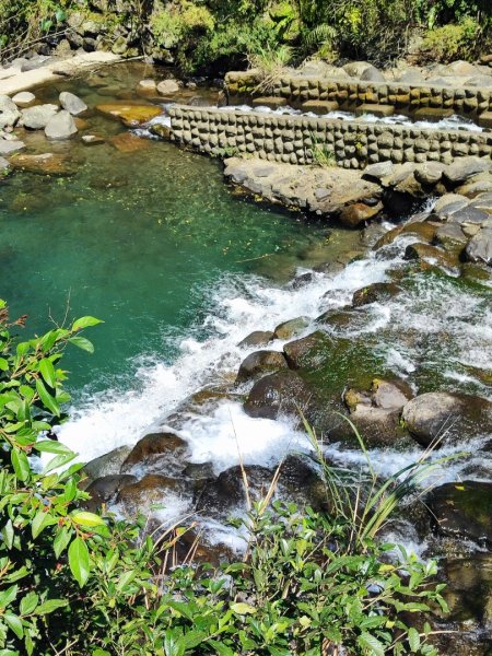 血籐大亂鬥3015528