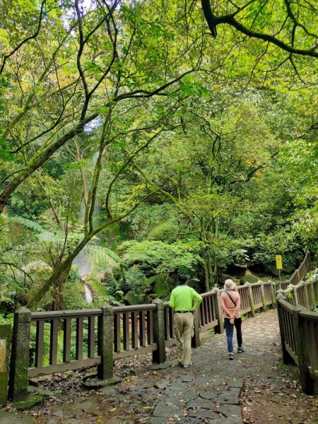 [走遍陽明山］：絹絲瀑布步道+金包里大路+金山老街2186403