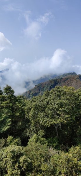 中級山-鳶嘴稍來2889058