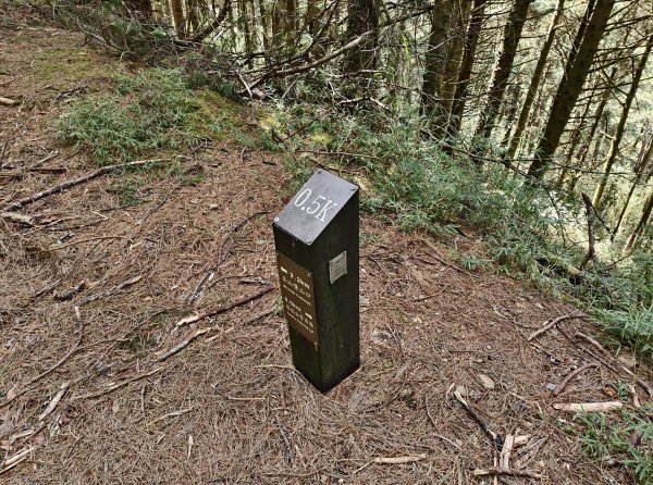 [玉山尋寶任務-09/12] 2025_0928 麟趾山步道2899871